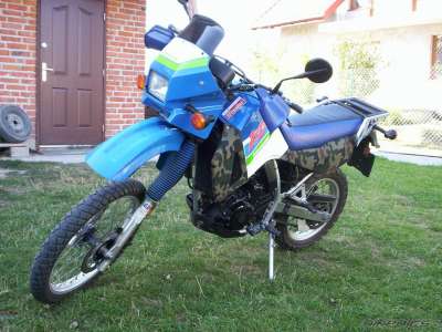Kawasaki klr 650 1995 sales
