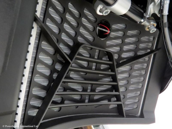 Kühlergrill Kunststoff für BMW F900XR, 20-25