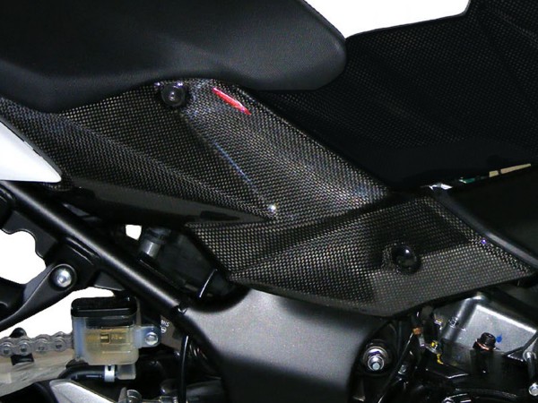 Powerbronze Seitenverkleidungen Carbon SUZUKI